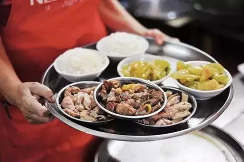 海南不止三亞 這個度假城市即將成為下個濟州島,趁火爆前速去