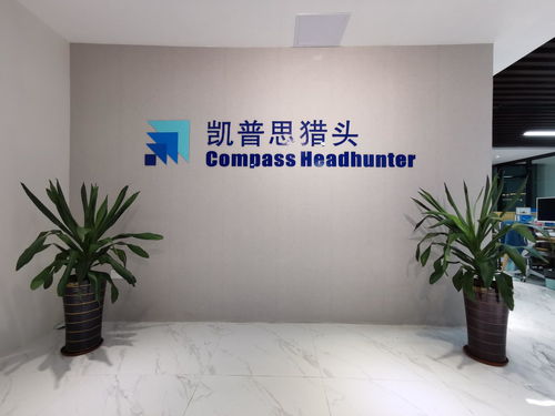廣東凱普思企業管理咨詢 賦能企業，驅動卓越成長